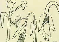 gleenbara_art_museum